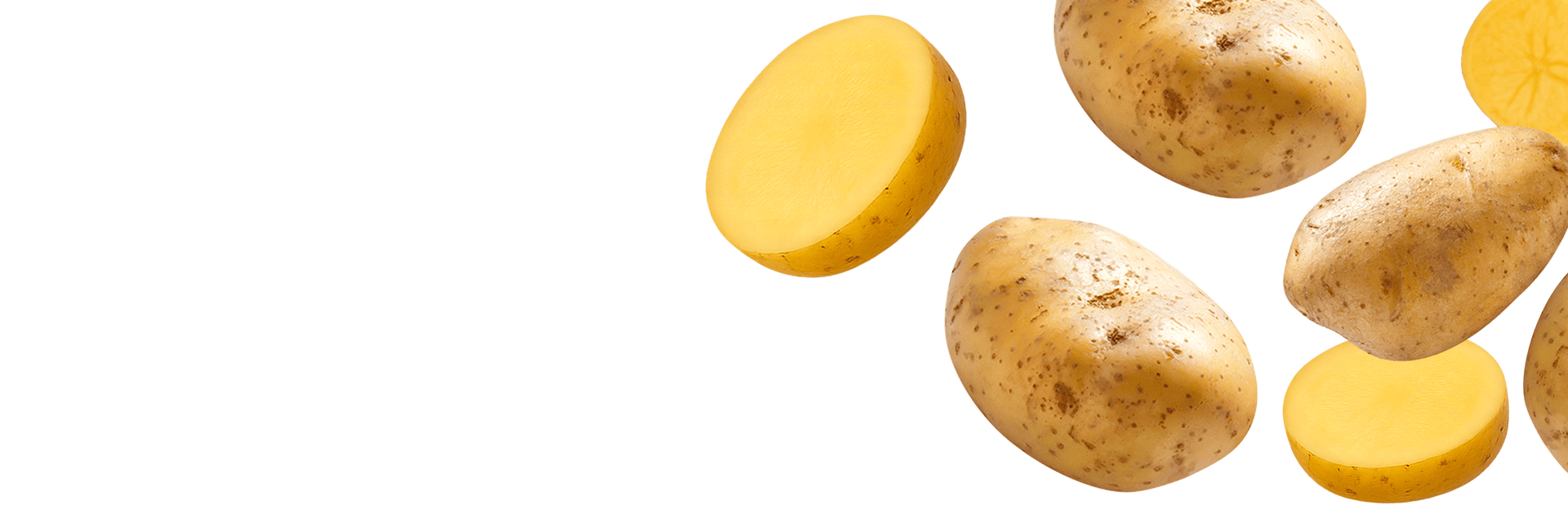 PRVOTŘÍDNÍ ČESKÉ BRAMBORY