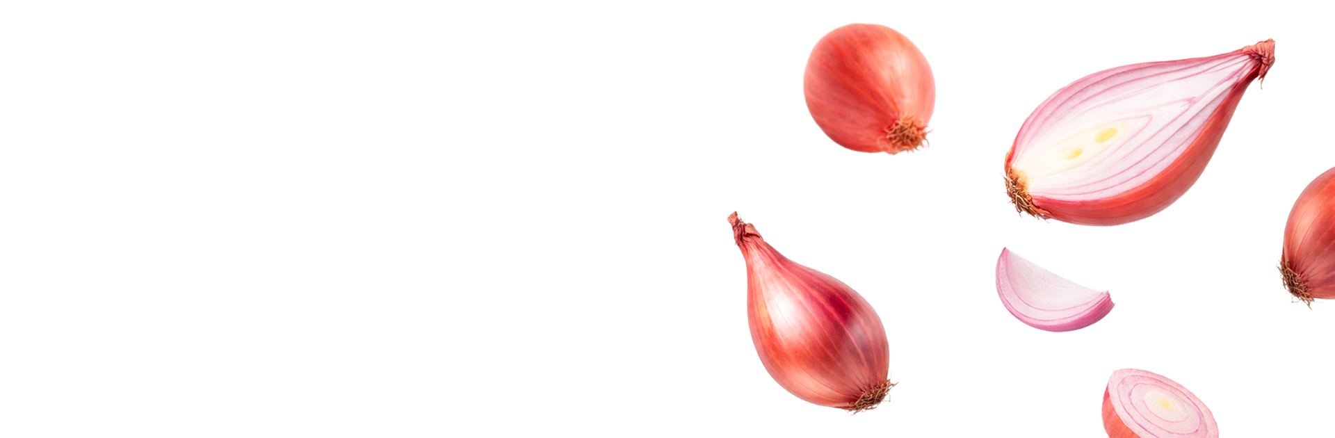 Světová šalotkaz Čech
