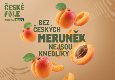 	České meruňky: Slunce jižní Moravy na českých stolech
