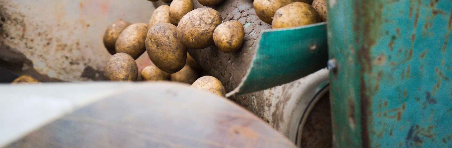 České pole: stabilní růst a posun v nabídce českých surovin